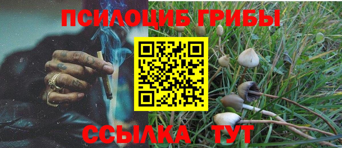 Галлюциногенные грибы Psilocybine cubensis  Псилоцибиновые грибы ЛСД  Вход с VPN  Усинск 